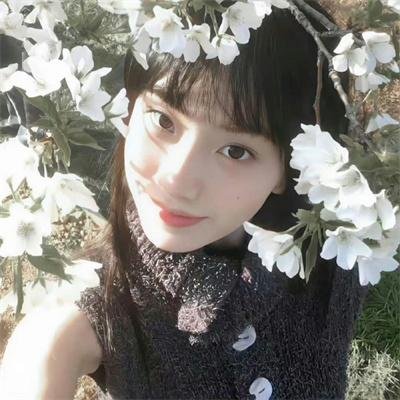 双生花2014